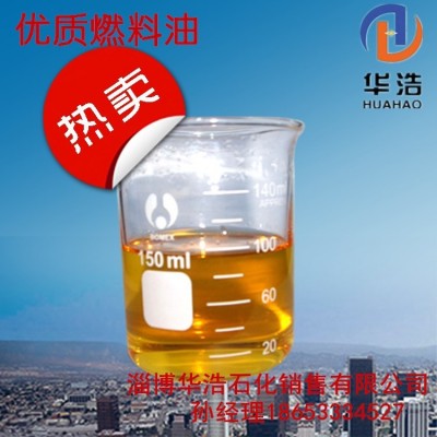 冬季烧锅炉天然气改锅炉用燃料油煤改燃料油锅炉环保锅炉 1吨图4