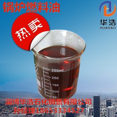 冬季烧锅炉天然气改锅炉用燃料油煤改燃料油锅炉环保锅炉 1吨图2