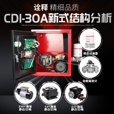 柴油加油机 12V/24v/220v车载小型石油设备 柴油煤油移动大流量图2