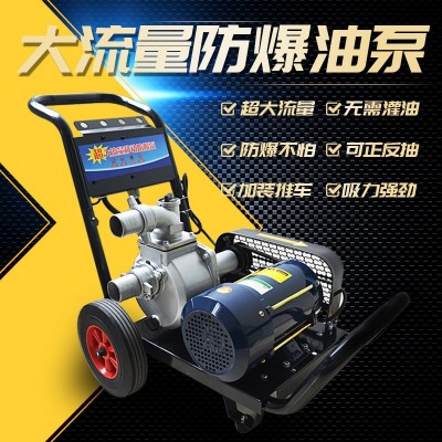 220v电动抽油泵380V2寸汽油柴油防爆导油卸油泵3寸大流量油罐车泵图2