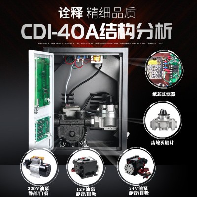 CDI 12V/24V/220V小型车载加油机柴油煤油加油机加注机电动抽油泵图3