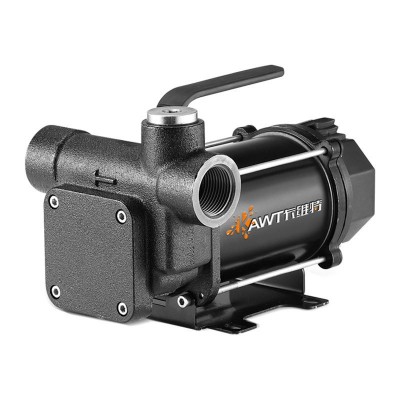 抽油泵12v24v220v防爆大流量柴汽油电动车载加油机设备小型自吸泵图5