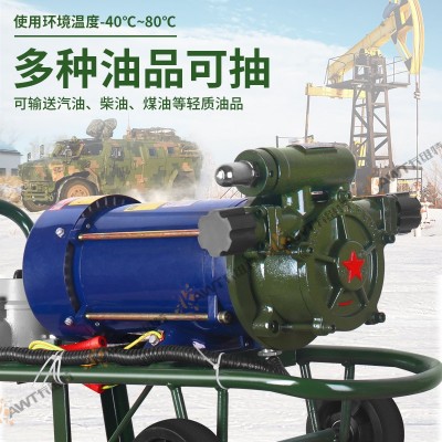 电动抽油泵220V380V柴汽油防爆滑片导油卸油泵大流量油罐车加油机图2
