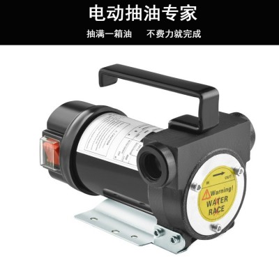 厂家直销12V24V220V电动抽油泵柴油煤正反转电动油泵铝管手摇油泵图2