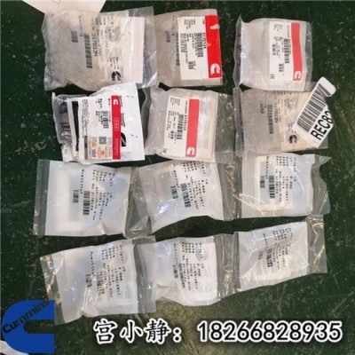 特雷克斯铲车柴油泵4307244BH30 QSK60燃油泵2897671图2