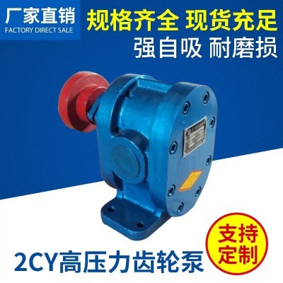 厂家供应齿轮泵 2CY不锈钢齿轮泵 DN50可调式齿轮泵 现货批发图2