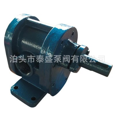 厂家供应齿轮泵 2CY不锈钢齿轮泵 DN50可调式齿轮泵 现货批发图4