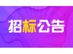 中石化（天津）石油化工有限公司化工部汽车装车栈台底部装载改造鹤管\DN100PN2.0L1400招标公告