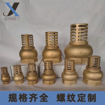 厂家直销全铜单向过滤止回阀止逆脚阀加厚耐用4分4寸黄铜水泵底阀图4