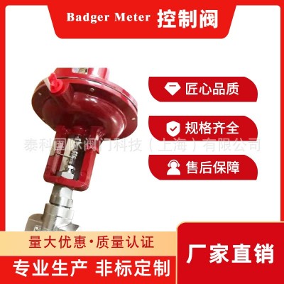 控制阀1001GCN36SVOSMLN36 Badger Meter图2
