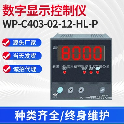 WP-C403-02-23-HL-P WP上润智能数字显示仪 WP-C403-02- 12-HL-P图3