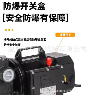 汽油防爆无刷静音抽油泵12V2220V车载加油机导油泵大流量自吸甲醇图2