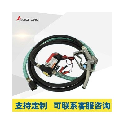 12V 24V柴油泵 抽油泵 电动加油泵 直流单泵总成 配套油管油枪图3